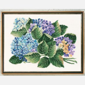 Broderi Hortensia