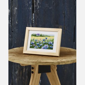 Broderi kornblomster